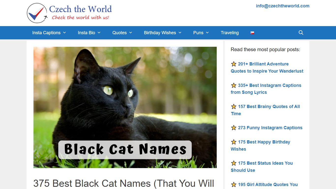 375 Best Black Cat Names (That You Will Absolutely Love)